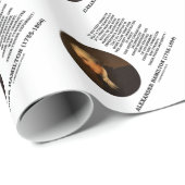 Alexander Hamilton Democracy Experience Tyranny Cadeaupapier (Rol Hoek)