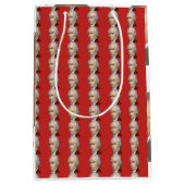 Alexander Hamilton Gift Bag Medium Cadeauzakje (Voorkant)