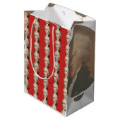 Alexander Hamilton Gift Bag Medium Cadeauzakje (Achterkant Gekanteld)