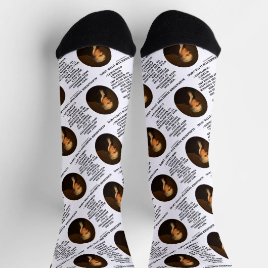 Alexander Hamilton Government Passion Constraint Sokken (Top)