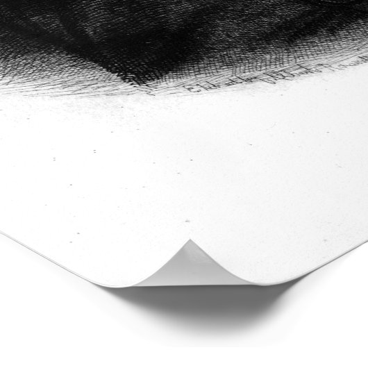 Alexander Hamilton Poster (Hoek)