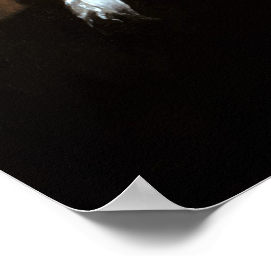 Alexander Hamilton - Vader Poster (Hoek)