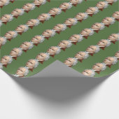 Alexander Hamilton verpakkingspapier Cadeaupapier (Hoek)