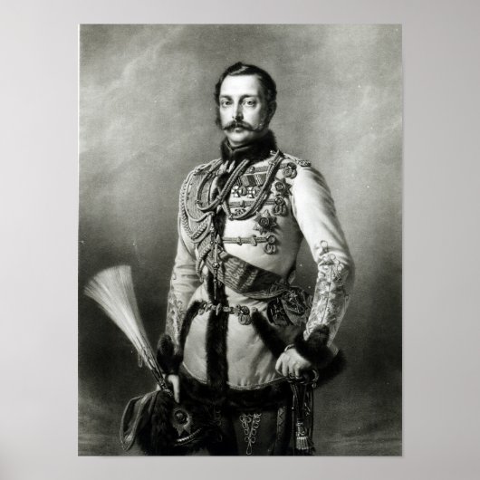 Alexander II van Rusland Poster (Voorkant)