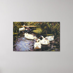  Alexander Koester Ducks op een Reed Pond Canvas Afdruk