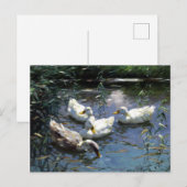 Alexander Koester Vier Eenden in de Pond Briefkaart (Voorkant / Achterkant)