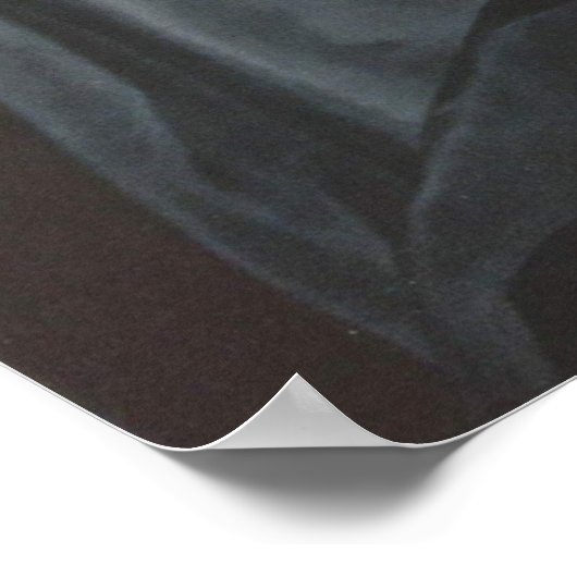 Alexander Roslin - De dame met een ventilator Poster (Hoek)