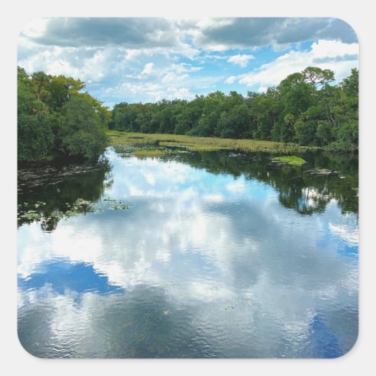 Alexander Springs Creek Vierkante Sticker (Voorkant)