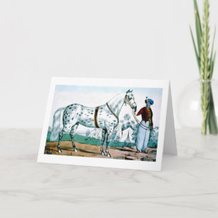 Alexander the horse, USA 1840 Feestdagen Kaart