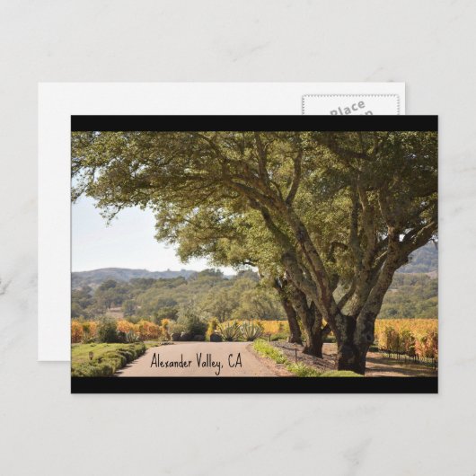 Alexander Valley-postkaart Briefkaart (Voorkant / Achterkant)