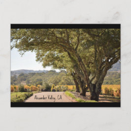 Alexander Valley-postkaart Briefkaart