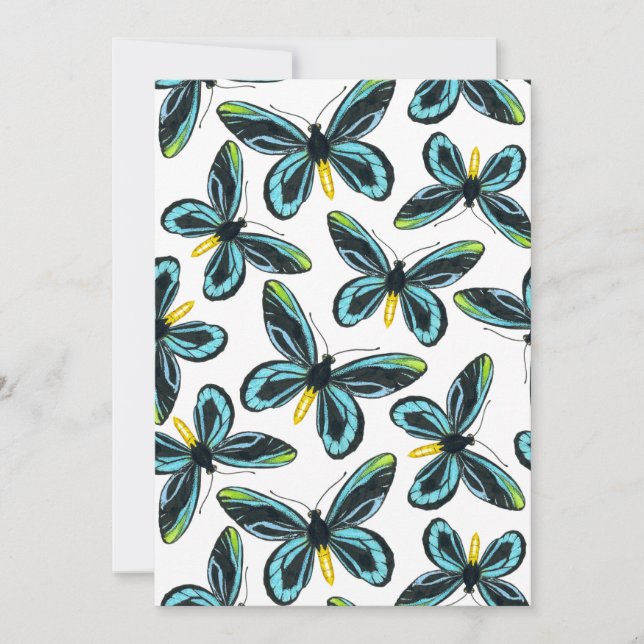 Alexandra's vogelvleugelvlinder (Voorkant)