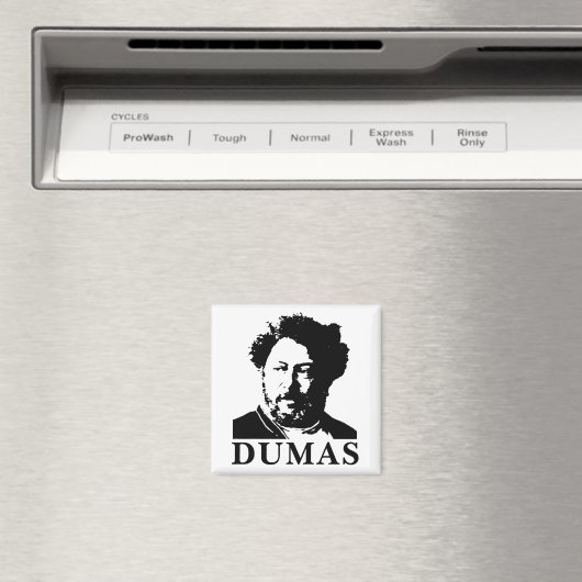 Alexandre Dumas Magneet (Insitu (Vaatwasser))