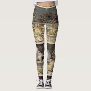 Alexandre Isidore Leroy De Barde - Selectie Leggings