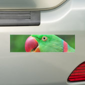 Alexandrine Parakeet Bumpersticker (Op auto)