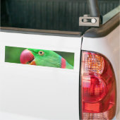 Alexandrine Parakeet Bumpersticker (Op Truck)