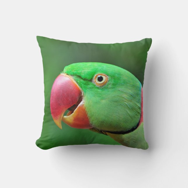 Alexandrine Parakeet Kussen (Voorkant)