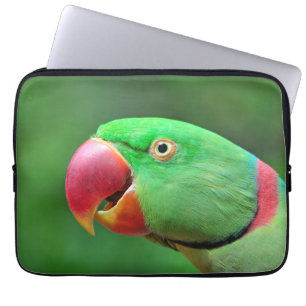Alexandrine Parakeet Laptop Sleeve