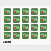 Alexandrine Parakeet Vierkante Sticker (Vel)