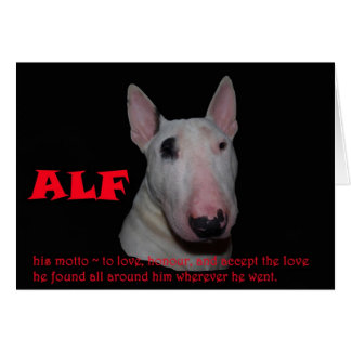 ALF accepteert liefde