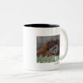 Alf Two Tone Coffee Mok (Voorkant rechts)