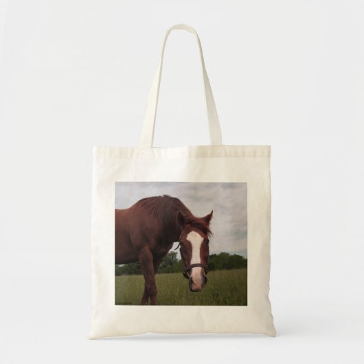 Alfa Heat canvas tas (Voorkant)