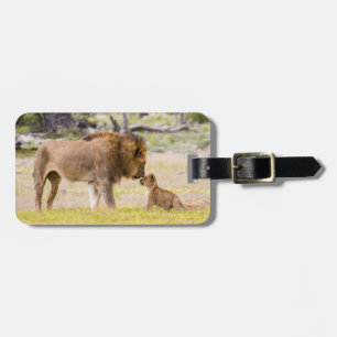 Alfa mannelijke leeuw inspecteert cub bagagelabel