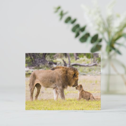 Alfa mannelijke leeuw inspecteert cub briefkaart (Staand voorkant)