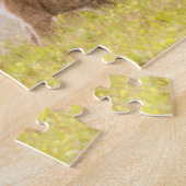 Alfa mannelijke leeuw inspecteert cub legpuzzel (Zijkant)