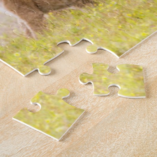 Alfa mannelijke leeuw inspecteert cub legpuzzel (Zijkant)