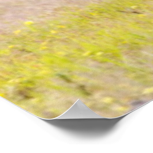 Alfa mannelijke leeuw inspecteert cub poster (Hoek)