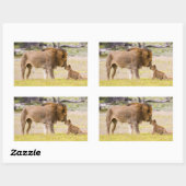 Alfa mannelijke leeuw inspecteert cub rechthoekige sticker (Vel)