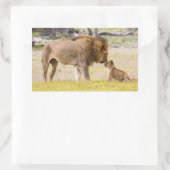 Alfa mannelijke leeuw inspecteert cub rechthoekige sticker (Tas)