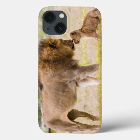 Alfa mannetjesleeuw inspecteert welp Case-Mate iPhone case (Achterkant)