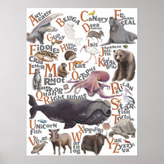 Alfaatdieren Poster