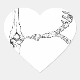 Alfabet Bone Letter B Hart Sticker