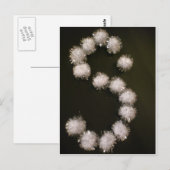 Alfabet Briefkaart (Voorkant / Achterkant)