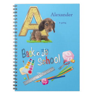 Alfabet hoofdsteden Terug naar school Notitieboek