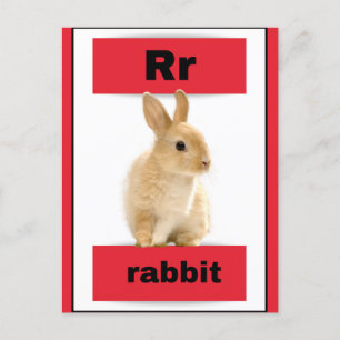 Alfabet kaart (met echt afbeelding)