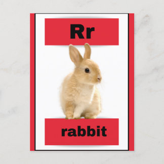 Alfabet kaart (met echt afbeelding)