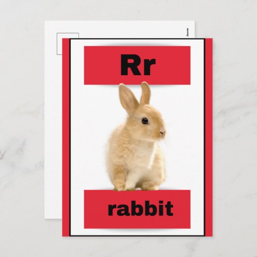 Alfabet kaart (met echt afbeelding) (Voorkant / Achterkant)