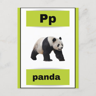 Alfabet kaart (met echt afbeelding)