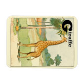 Alfabet Letter G voor Giraffe Magneet (Horizontaal)