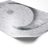 Alfabet Letter Photography E4 Black en White 4x6 Foto Afdruk (Hoek)