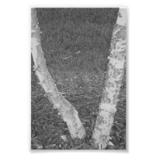 Alfabet Letter Photography V3 Black en White 4x6 Foto Afdruk