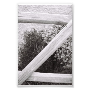 Alfabet Letter Photography Z2 Black en White 4x6 Foto Afdruk