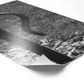 Alfabet Letter R1 Black en White, 4x6 Foto Afdruk (Hoek)