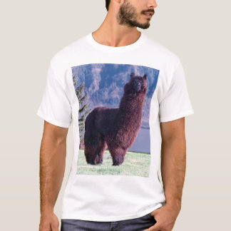 alfabet t-shirt