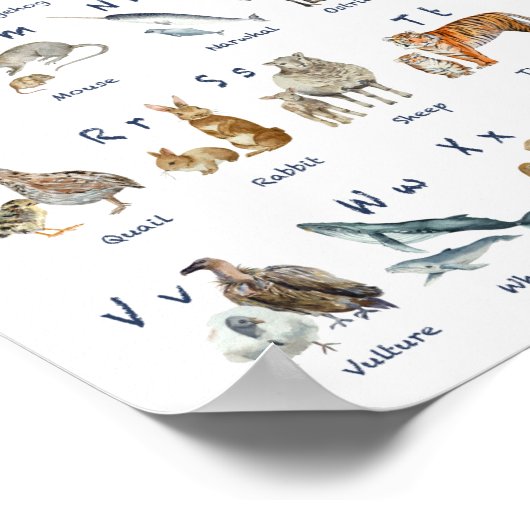 Alfabets dieren terug naar schooldag poster (Hoek)
