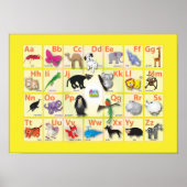 Alfabets: Mijn ABC met 26 dieren Poster (Voorkant)